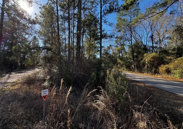 Homes for sale in Hempstead, TX | Tbd Buck Ln, Hempstead, TX 77445 | MLS# 67314831