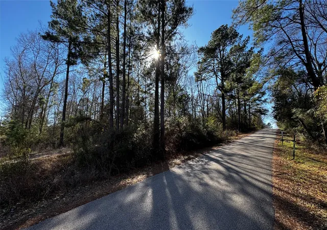 Homes for sale in Hempstead, TX | Tbd Buck Ln, Hempstead, TX 77445 | MLS# 67314831