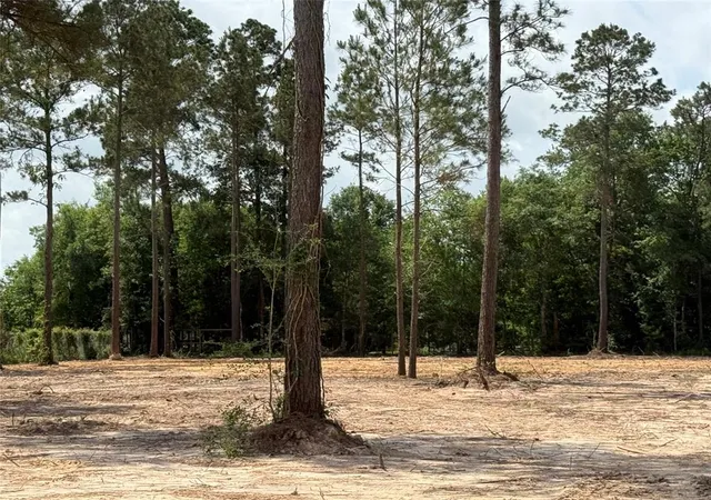 Photo 3 of Land for sale at 860 County Road 3679 J, Cleveland, TX 77327 | MLS# 53538594 | Listing updated on 2026-07-29