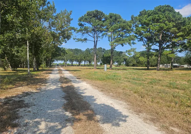 Photo 4 of Land for sale at 00 Fm-1875, Beasley, TX 77417 | MLS# 69601253 | Listing updated on 2026-08-28