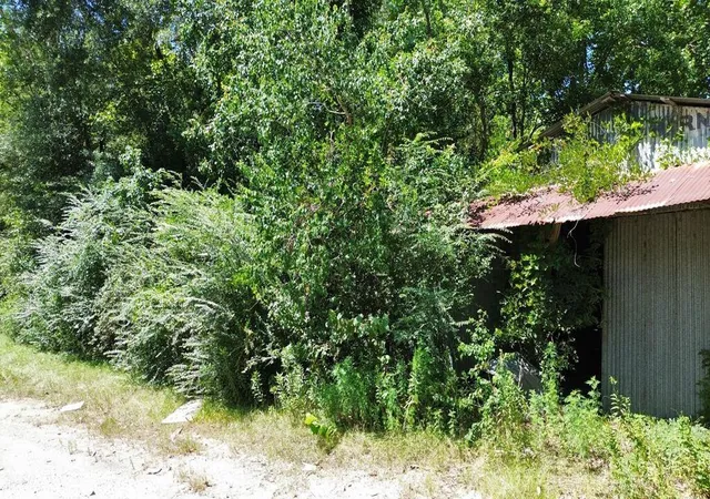 Photo 3 of Land for sale at 48 Ac Fm 1013 W, Kirbyville, TX 75956 | MLS# 89723040 | Listing updated on 2026-08-25