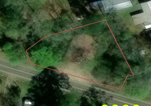 Photo 3 of Land for sale at 48 Ac Fm 1013 W, Kirbyville, TX 75956 | MLS# 89723040 | Listing updated on 2026-08-25