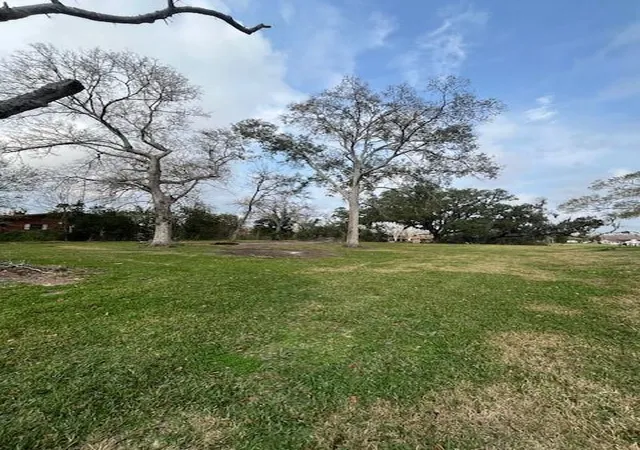 2nd image of 4928 County Road 819, Brazoria, TX 77422 | MLS# 84587265