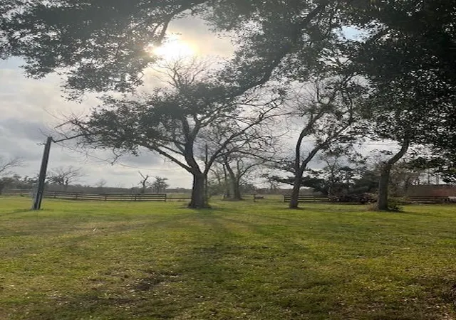 4th image of 4928 County Road 819, Brazoria, TX 77422 | MLS# 84587265