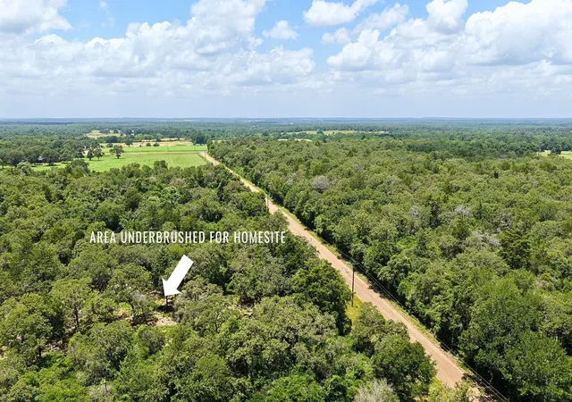 2nd image of Tbd County Road 378   10 Acres, Caldwell, TX 77836 | MLS# 13665784