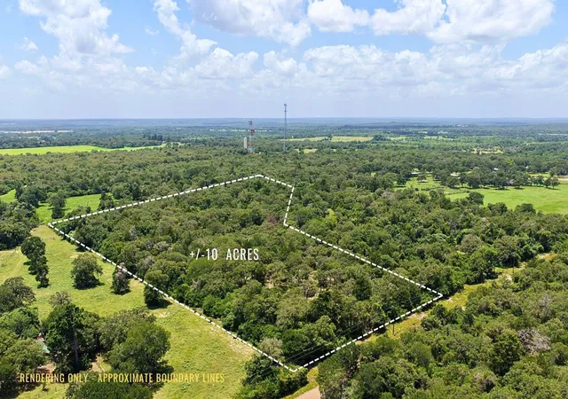 3rd image of Tbd County Road 378 - 10 Acres, Caldwell, TX 77836 | MLS# 13665784