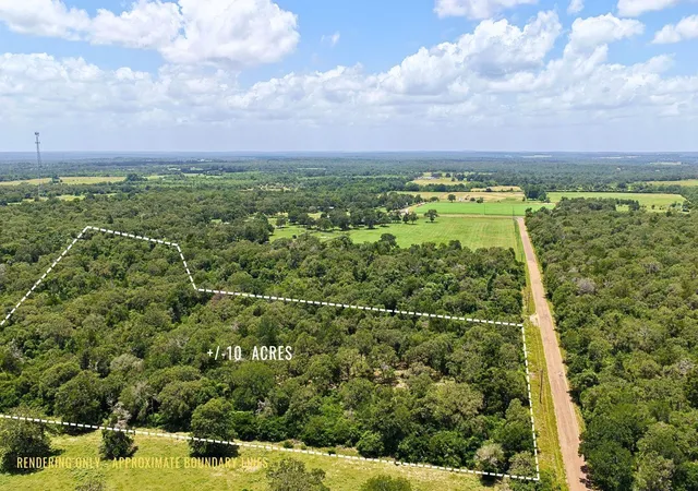 4th image of Tbd County Road 378 - 10 Acres, Caldwell, TX 77836 | MLS# 13665784