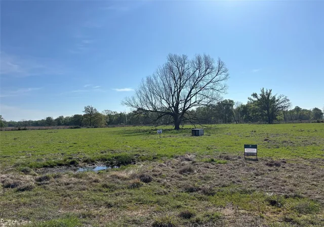 3rd image of Lot 85 County Road 231, Centerville, TX 75833 | MLS# 87202530