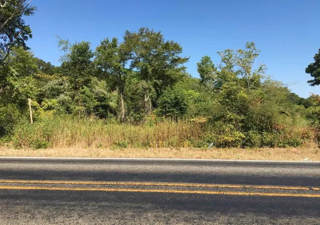 Homes for sale in Elkhart, TX | 0 State Hwy 294, Elkhart, TX 75839 | MLS# 2164672