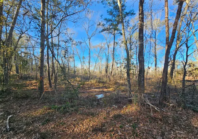 18th image of Lot 4 Sherwood Dr, Shepherd, TX 77371 | MLS# 88169834