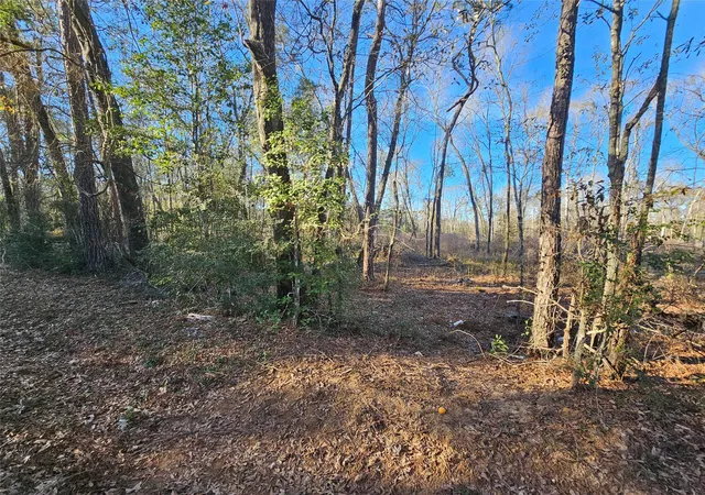 1st image of Lot 4 Sherwood Dr, Shepherd, TX 77371 | MLS# 88169834