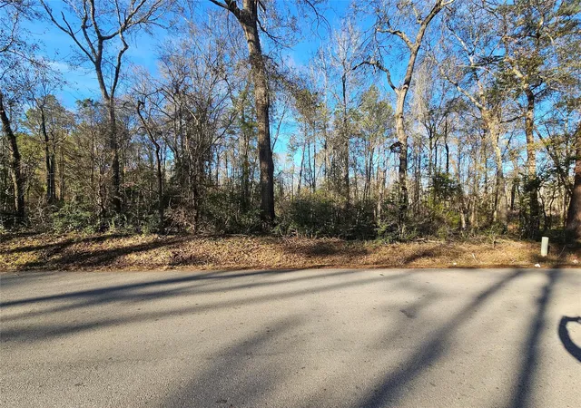 2nd image of Lot 4 Sherwood Dr, Shepherd, TX 77371 | MLS# 88169834