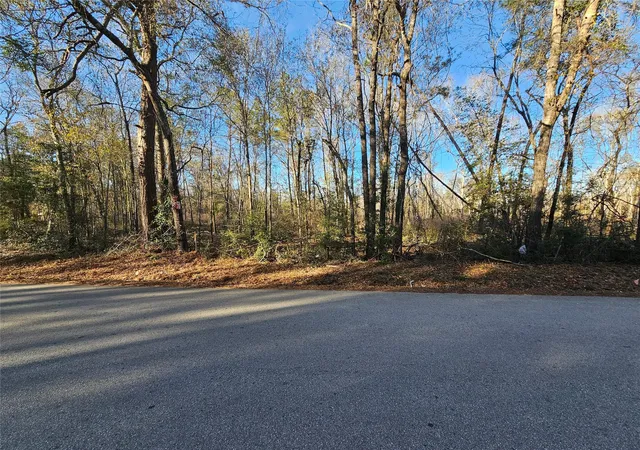 4th image of Lot 4 Sherwood Dr, Shepherd, TX 77371 | MLS# 88169834