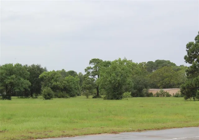 7th image of 0 Main St, La Marque, TX 77568 | MLS# 43728632