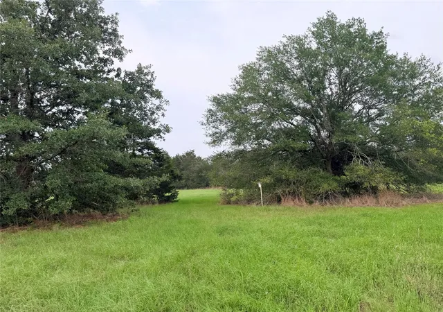 1st image of 1766 Fm 2104, Paige, TX 78659 | MLS# 77496811