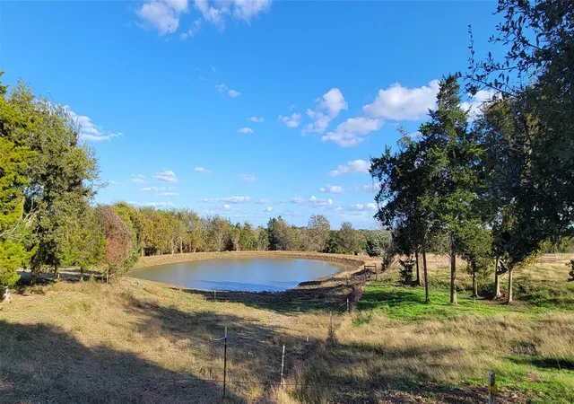 Homes for sale in New Ulm, TX | 1045 Mcelroy Ln, New Ulm, TX 78950 | MLS# 93898148