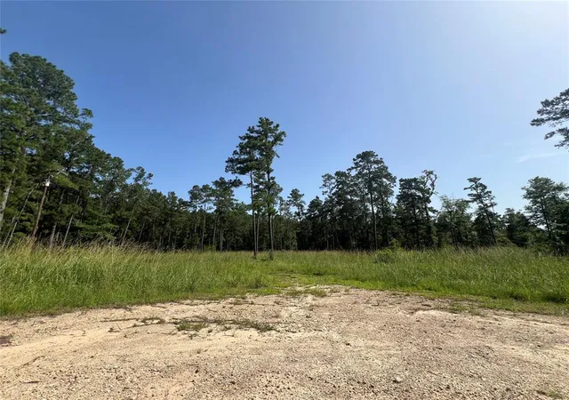 Photo 1 of Land for sale at 9537 State Hwy 146 S, Livingston, TX 77351 | MLS# 3848125 | Listing updated on 2026-06-29