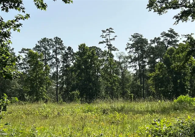 Photo 2 of Land for sale at 9537 State Hwy 146 S, Livingston, TX 77351 | MLS# 3848125 | Listing updated on 2026-06-29