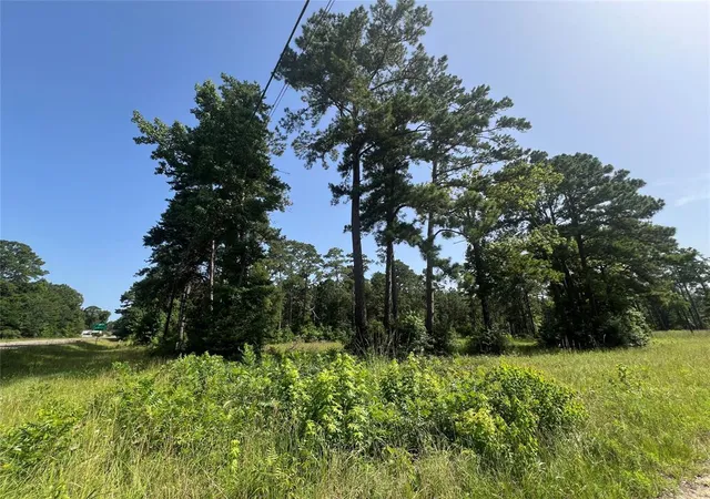 Photo 3 of Land for sale at 9537 State Hwy 146 S, Livingston, TX 77351 | MLS# 3848125 | Listing updated on 2026-06-29