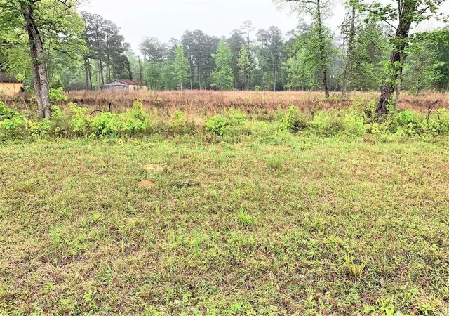 Photo 4 of Land for sale at 9537 State Hwy 146 S, Livingston, TX 77351 | MLS# 3848125 | Listing updated on 2026-06-29