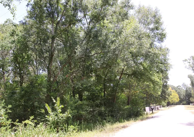 2nd image of Tbd Dove Creek Dr, Coldspring, TX 77331 | MLS# 2696865