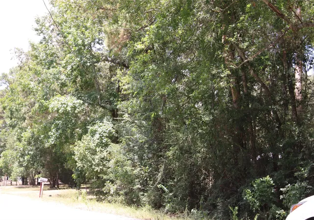 3rd image of Tbd Dove Creek Dr, Coldspring, TX 77331 | MLS# 2696865