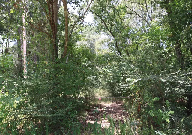4th image of Tbd Dove Creek Dr, Coldspring, TX 77331 | MLS# 2696865