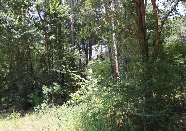 5th image of Tbd Dove Creek Dr, Coldspring, TX 77331 | MLS# 2696865
