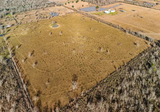Photo 2 of Land for sale at 00 County Rd 48 Off, Rosharon, TX 77583 | MLS# 55010053 | Listing updated on 2026-05-15