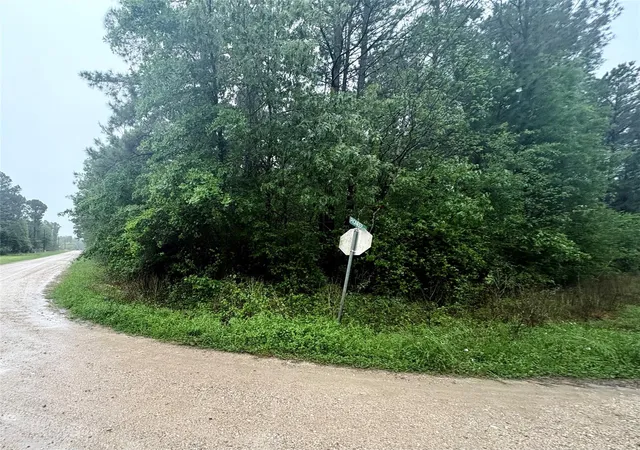 2nd image of 0 Meadowlark Ln, Livingston, TX 77351 | MLS# 74495410
