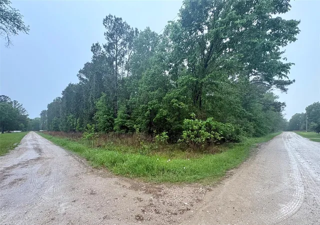 5th image of 0 Meadowlark Ln, Livingston, TX 77351 | MLS# 74495410