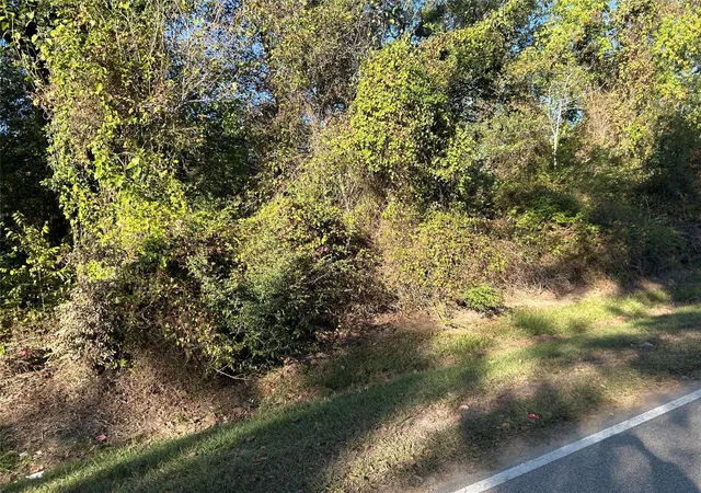 Photo 3 of Land for sale at 402 Wells St, Spring, TX 77373 | MLS# 96551202 | Listing updated on 2026-05-19