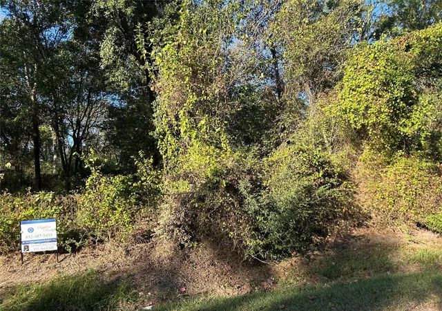Photo 4 of Land for sale at 402 Wells St, Spring, TX 77373 | MLS# 96551202 | Listing updated on 2026-05-19