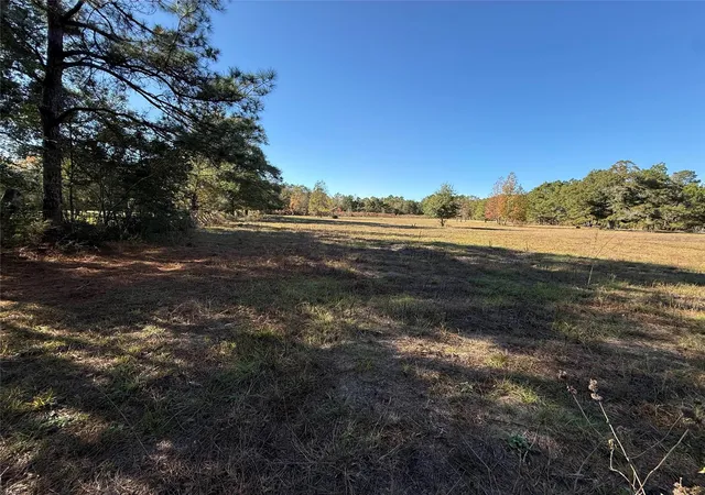 Photo 3 of Land for sale at 709 County Rd 3880, Cleveland, TX 77328 | MLS# 96014285 | Listing updated on 2025-12-14