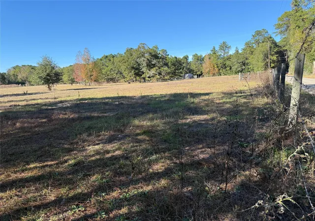 Photo 4 of Land for sale at 709 County Rd 3880, Cleveland, TX 77328 | MLS# 96014285 | Listing updated on 2025-12-14