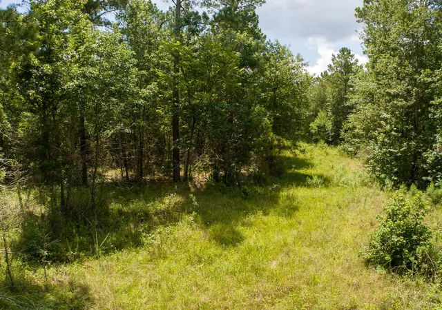 26th image of 00 Fm 946, Oakhurst, TX 77359 | MLS# 81335974
