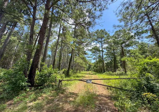 2nd image of 00 Fm 946, Oakhurst, TX 77359 | MLS# 81335974