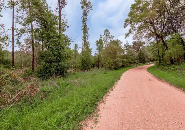 Homes for sale in Livingston, TX | 0000 Big Foot Wallace Trl, Livingston, TX 77351 | MLS# 36291113