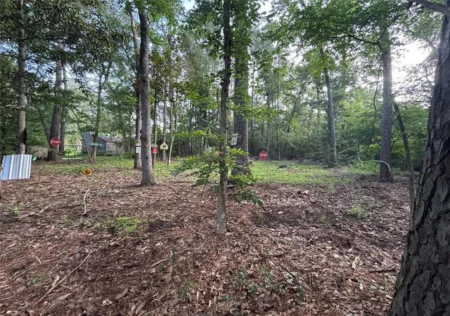 Photo 1 of Land for sale at 0 Long Dr, Conroe, TX 77302 | MLS# 4326476 | Listing updated on 2026-08-06