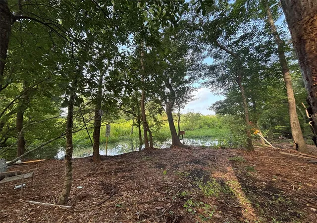 Photo 3 of Land for sale at 0 Long Dr, Conroe, TX 77302 | MLS# 4326476 | Listing updated on 2026-08-06