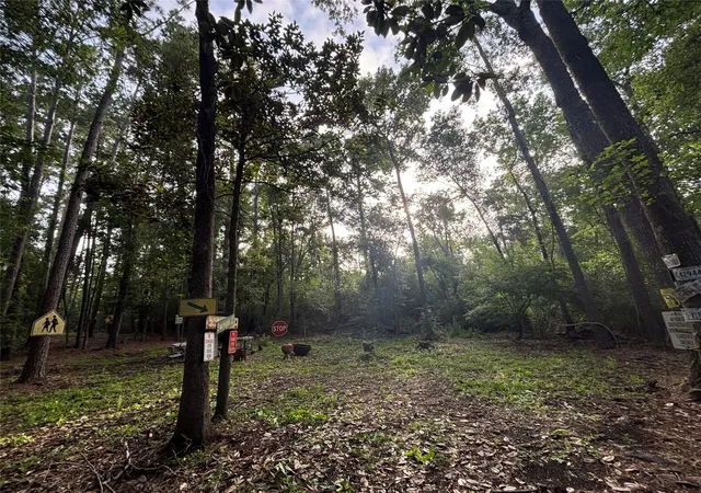 Photo 3 of Land for sale at 0 Long Dr, Conroe, TX 77302 | MLS# 4326476 | Listing updated on 2026-08-06