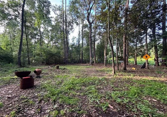Photo 4 of Land for sale at 0 Long Dr, Conroe, TX 77302 | MLS# 4326476 | Listing updated on 2026-08-06