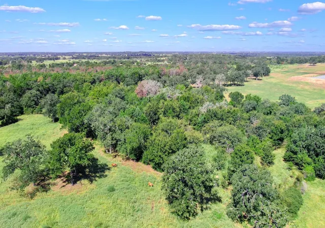 1st image of Tbd Cr 227, Caldwell, TX 77836 | MLS# 79768422