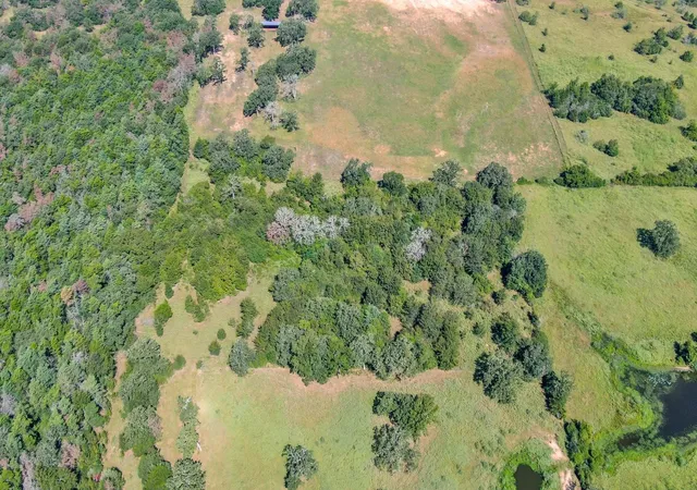 21st image of Tbd Cr 227, Caldwell, TX 77836 | MLS# 79768422