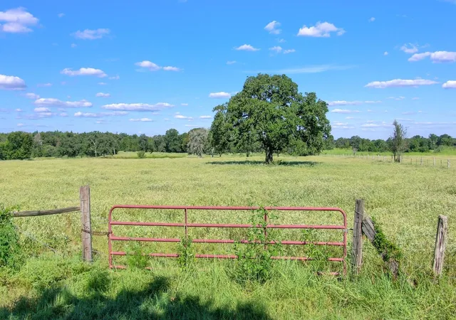 2nd image of Tbd Cr 227, Caldwell, TX 77836 | MLS# 79768422