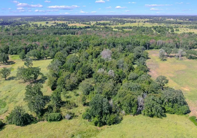 3rd image of Tbd Cr 227, Caldwell, TX 77836 | MLS# 79768422