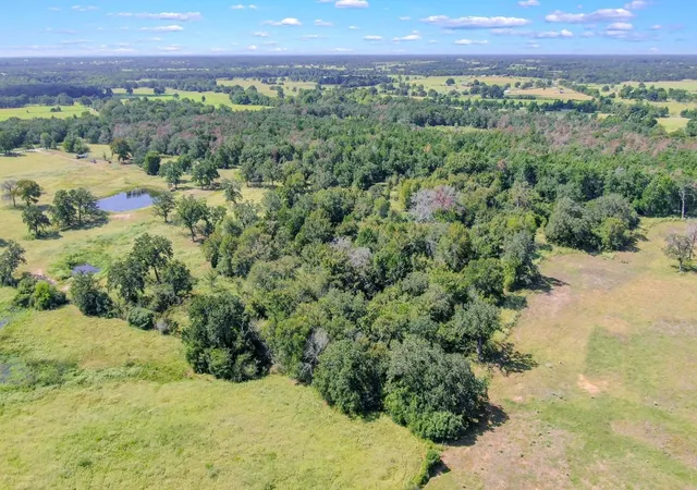 4th image of Tbd Cr 227, Caldwell, TX 77836 | MLS# 79768422