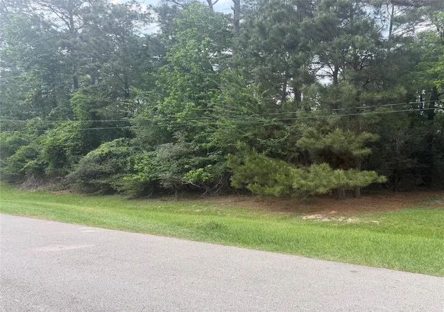 2nd image of Tbd Grant Dr, Magnolia, TX 77354 | MLS# 97666260