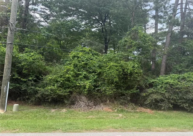 3rd image of Tbd Grant Dr, Magnolia, TX 77354 | MLS# 97666260
