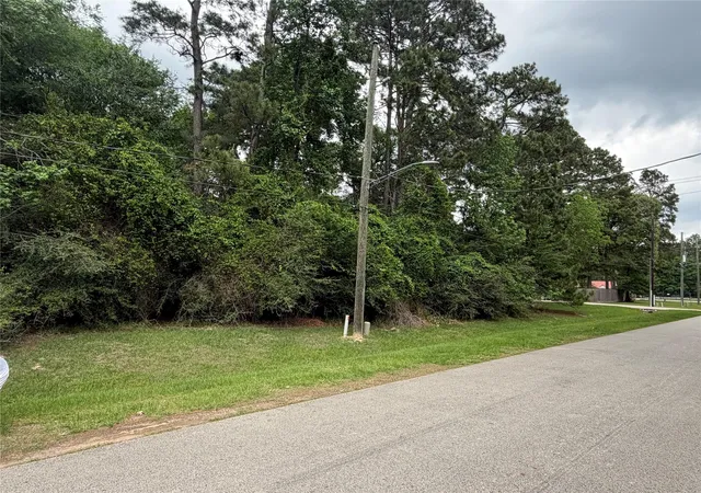 4th image of Tbd Grant Dr, Magnolia, TX 77354 | MLS# 97666260